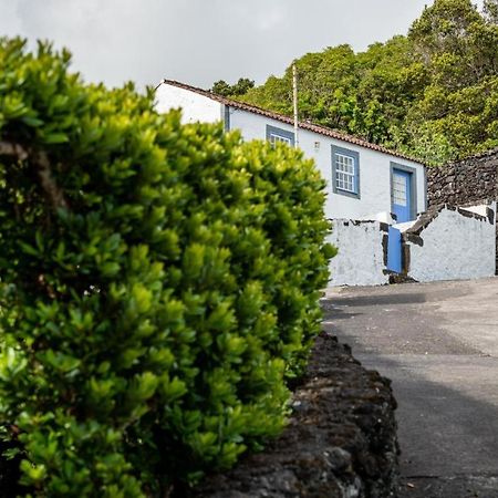 Casa Da Cisterna Villa Sao Joao  Eksteriør bilde