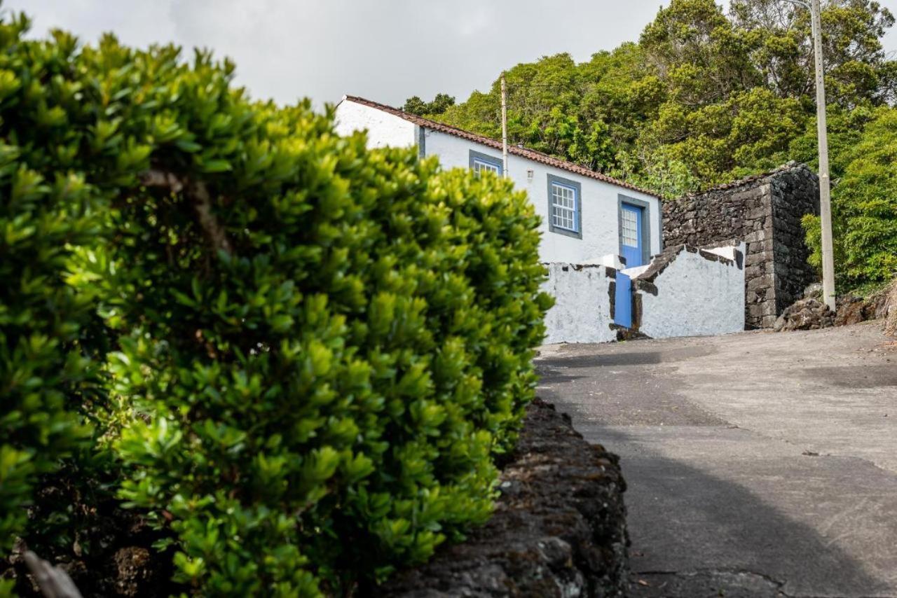 Casa Da Cisterna Villa Sao Joao  Eksteriør bilde